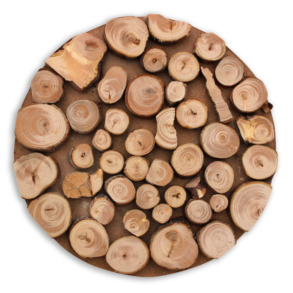 Wood Rustic Branch Trivet or Coaster