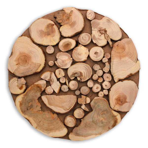 Wood Rustic Branch Trivet or Coaster